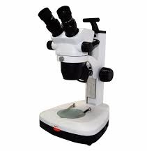 Estereomicroscópio Binocular