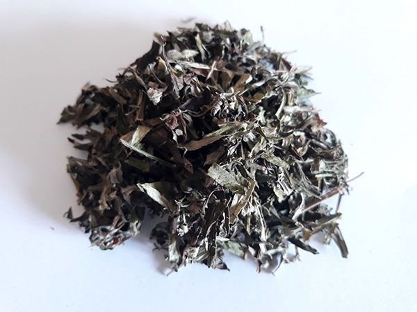 Artemisia Absintum - Losna 50gr